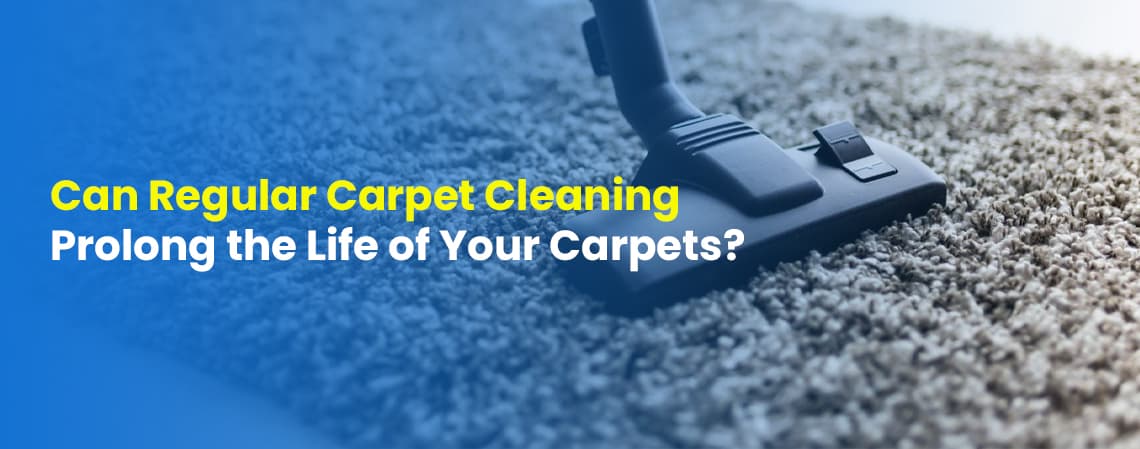 Carpet Cleaning Prolong the Life of Your Carpets